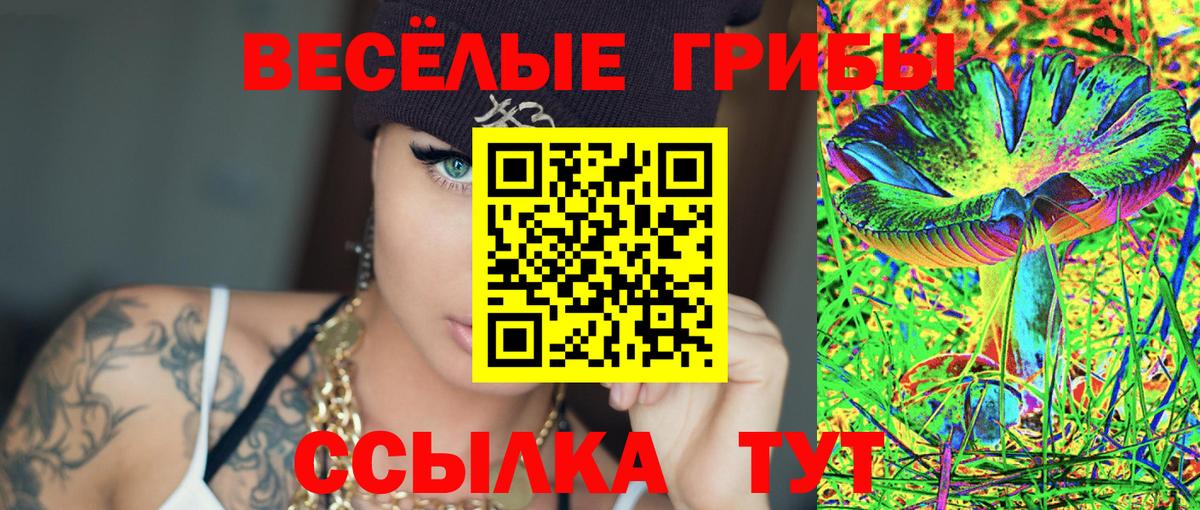Галлюциногенные грибы мицелий Ростов Великий