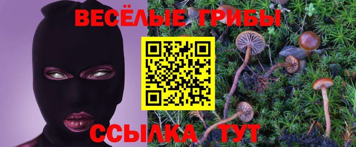 Ростов Великий  Галлюциногенные грибы Psilocybine cubensis  Вход с VPN 